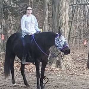 Meet your Posher, Morgin